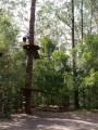 0104-1615 Treetop park (1070449)